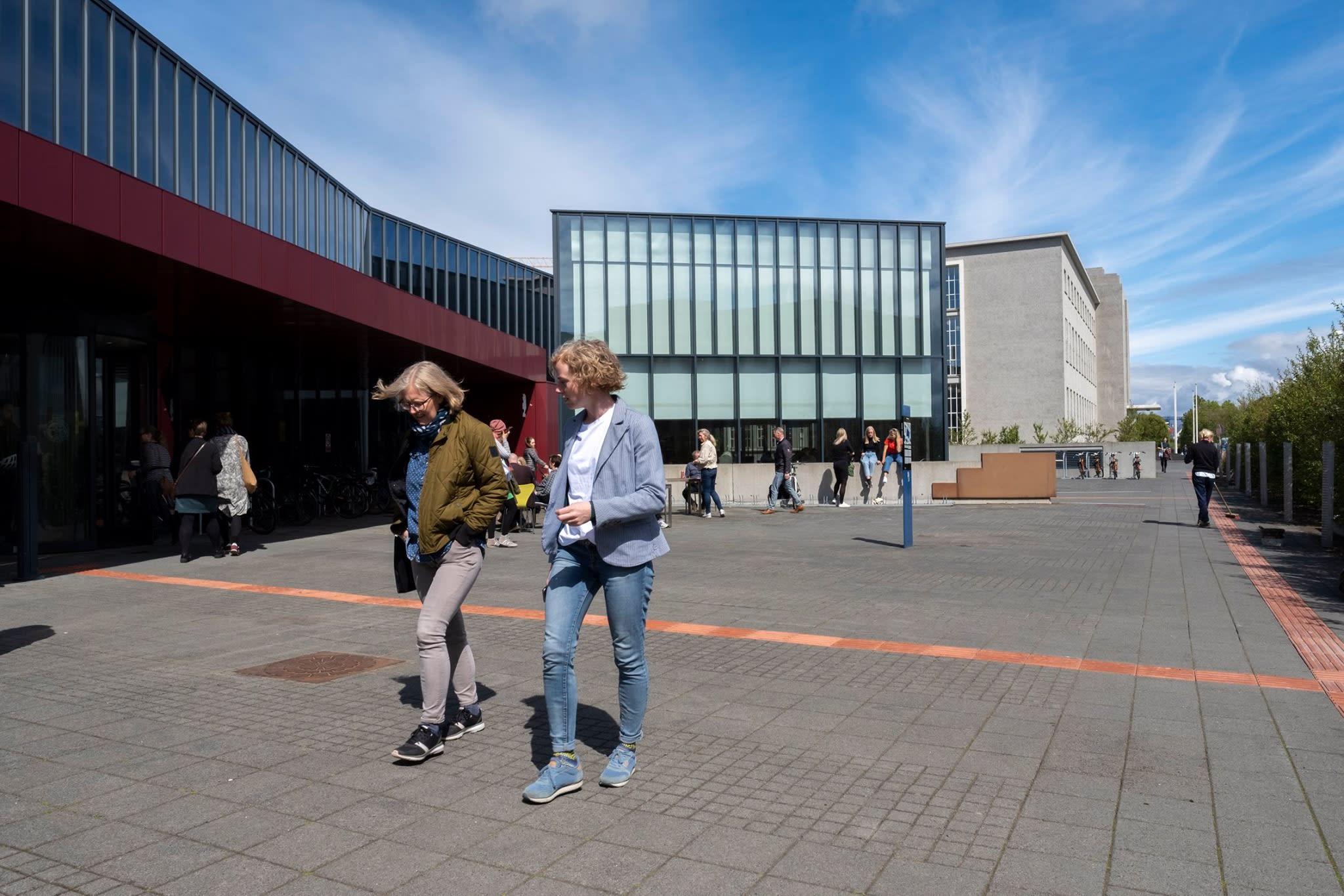 <em>Ісландський університет</em>