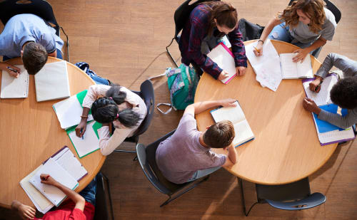 Студенти готуються до лекцій. Джерело: Shutterstock
